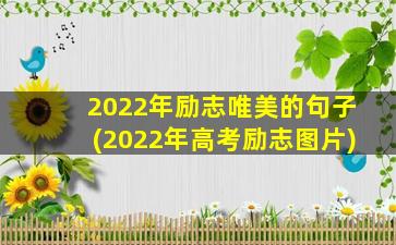 2022年励志唯美的句子(2022年高考励志图片)