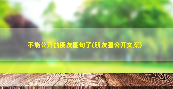 不能公开的朋友圈句子(朋友圈公开文案)