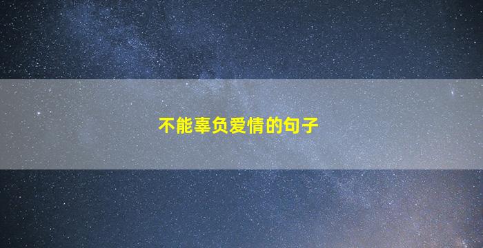 不能辜负爱情的句子