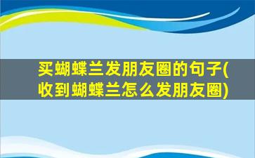 买蝴蝶兰发朋友圈的句子(收到蝴蝶兰怎么发朋友圈)