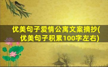 优美句子爱情公寓文案摘抄(优美句子积累100字左右)