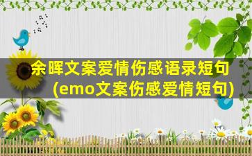 余晖文案爱情伤感语录短句(emo文案伤感爱情短句)