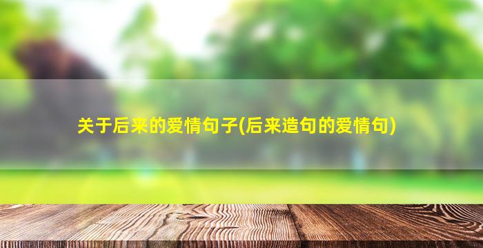 关于后来的爱情句子(后来造句的爱情句)