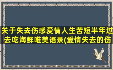 关于失去伤感爱情人生苦短半年过去吃海鲜唯美语录(爱情失去的伤感段子)