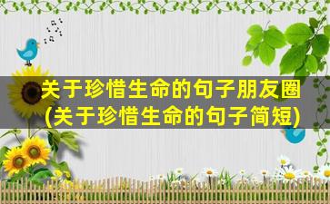 关于珍惜生命的句子朋友圈(关于珍惜生命的句子简短)