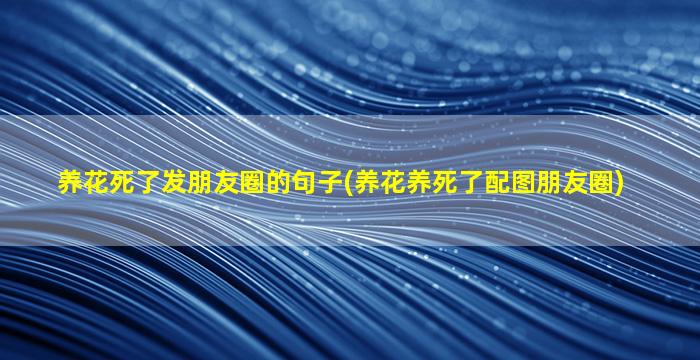 养花死了发朋友圈的句子(养花养死了配图朋友圈)