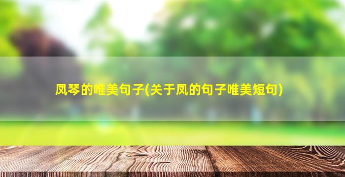 凤琴的唯美句子(关于凤的句子唯美短句)