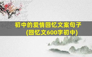 初中的爱情回忆文案句子(回忆文600字初中)