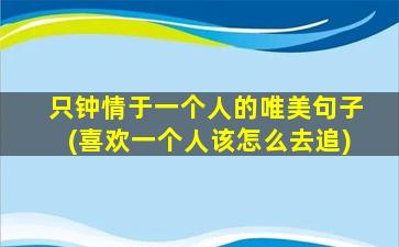 只钟情于一个人的唯美句子(喜欢一个人该怎么去追)