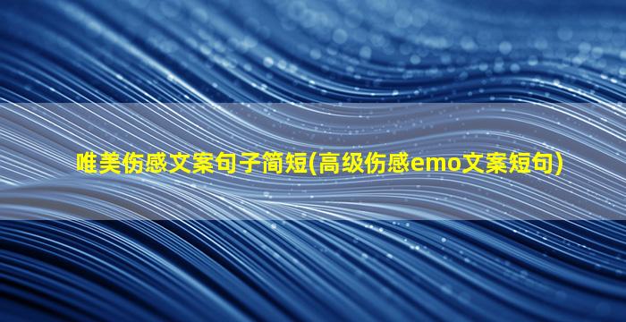 唯美伤感文案句子简短(高级伤感emo文案短句)