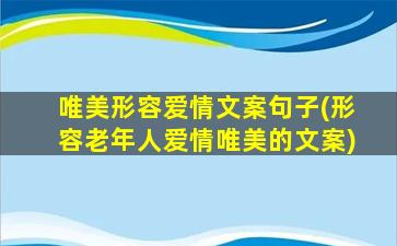 唯美形容爱情文案句子(形容老年人爱情唯美的文案)