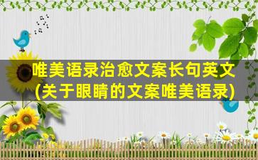 唯美语录治愈文案长句英文(关于眼睛的文案唯美语录)