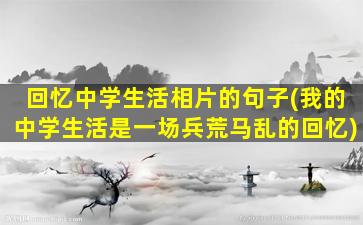 回忆中学生活相片的句子(我的中学生活是一场兵荒马乱的回忆)