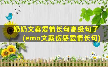 奶奶文案爱情长句高级句子(emo文案伤感爱情长句)