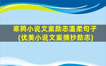 寒鸦小说文案励志温柔句子(优美小说文案摘抄励志)