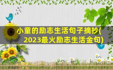 小童的励志生活句子摘抄(2023最火励志生活金句)