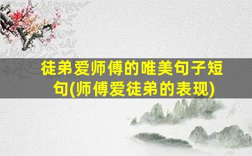 徒弟爱师傅的唯美句子短句(师傅爱徒弟的表现)