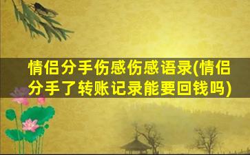 情侣分手伤感伤感语录(情侣分手了转账记录能要回钱吗)