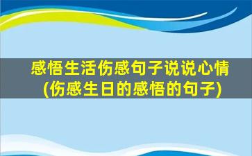 感悟生活伤感句子说说心情(伤感生日的感悟的句子)