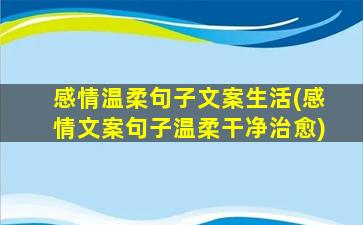 感情温柔句子文案生活(感情文案句子温柔干净治愈)