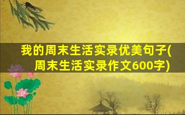 我的周末生活实录优美句子(周末生活实录作文600字)