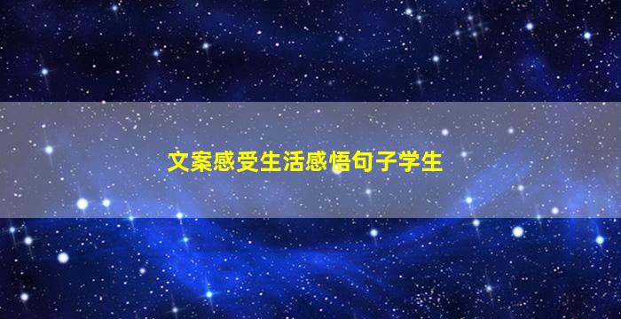 文案感受生活感悟句子学生