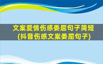 文案爱情伤感委屈句子简短(抖音伤感文案委屈句子)