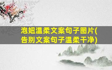 泡妞温柔文案句子图片(告别文案句子温柔干净)