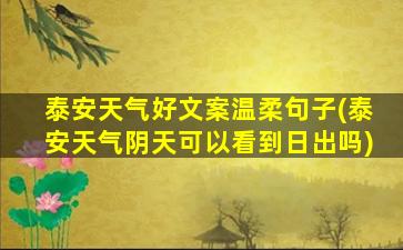 泰安天气好文案温柔句子(泰安天气阴天可以看到日出吗)