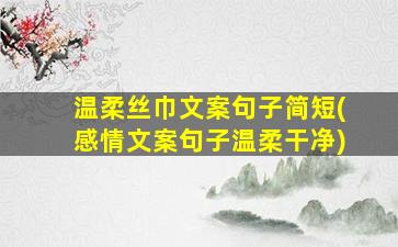 温柔丝巾文案句子简短(感情文案句子温柔干净)