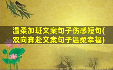 温柔加班文案句子伤感短句(双向奔赴文案句子温柔幸福)