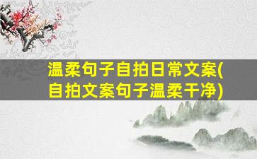 温柔句子自拍日常文案(自拍文案句子温柔干净)