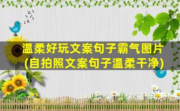 温柔好玩文案句子霸气图片(自拍照文案句子温柔干净)