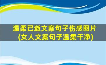 温柔已逝文案句子伤感图片(女人文案句子温柔干净)