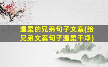 温柔的兄弟句子文案(给兄弟文案句子温柔干净)