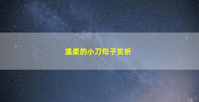 温柔的小刀句子赏析