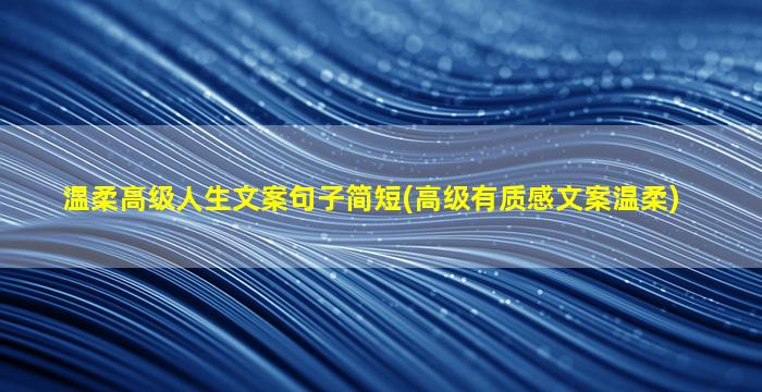 温柔高级人生文案句子简短(高级有质感文案温柔)