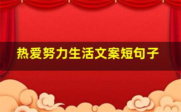 热爱努力生活文案短句子