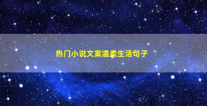 热门小说文案温柔生活句子