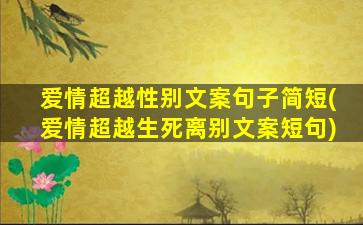 爱情超越性别文案句子简短(爱情超越生死离别文案短句)