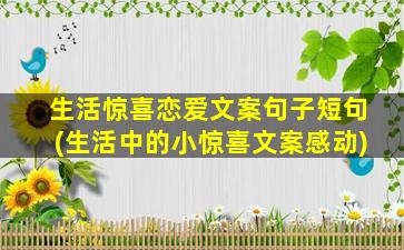 生活惊喜恋爱文案句子短句(生活中的小惊喜文案感动)