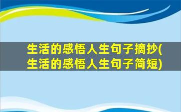 生活的感悟人生句子摘抄(生活的感悟人生句子简短)