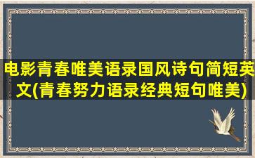 电影青春唯美语录国风诗句简短英文(青春努力语录经典短句唯美)