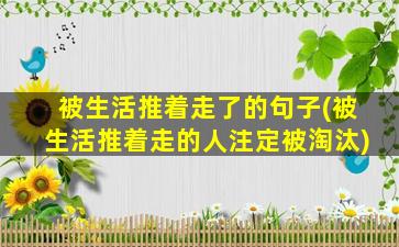 被生活推着走了的句子(被生活推着走的人注定被淘汰)