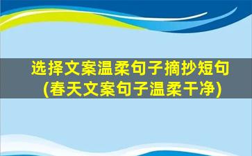 选择文案温柔句子摘抄短句(春天文案句子温柔干净)